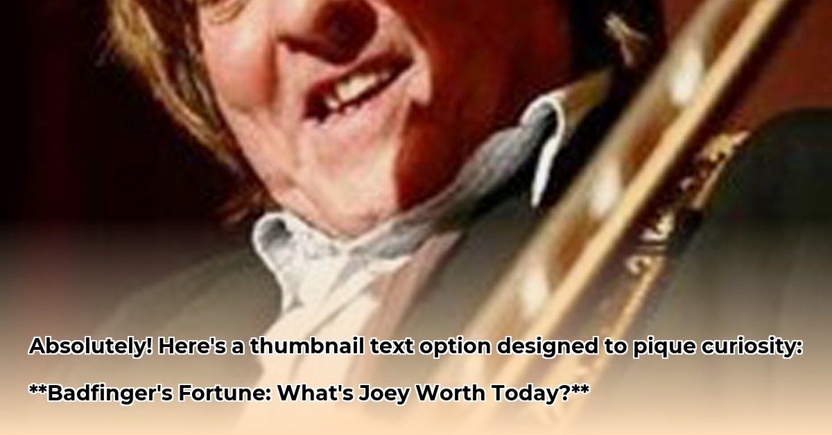 joey-molland-net-worth